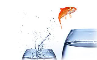 Top 10 Signs QuickBooks Isnt Doing Enough