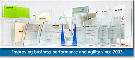 MIcrosoft Dynamics GP2