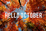 October Webcasts