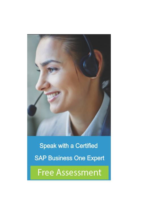 Certified SAP Buiness One ERP Consultant 6
