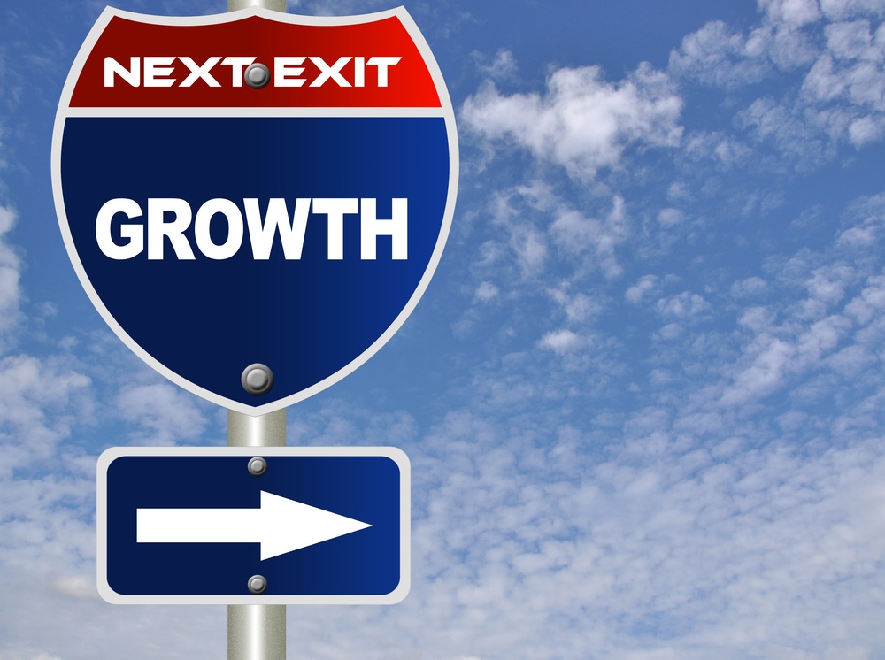 ERP Consultant Growth.jpg