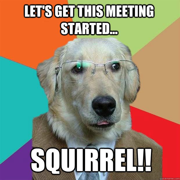 ERP Implementation Strategy: 6 Lessons from Dog Memes