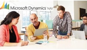 Microsoft Dynamics NAV: A Review of Extended Pack for Financial Management