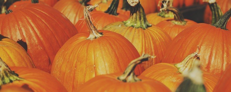 Taxing Halloween treats and décor can be tricky